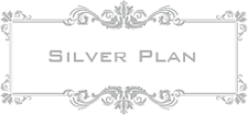 SILVER PLAN